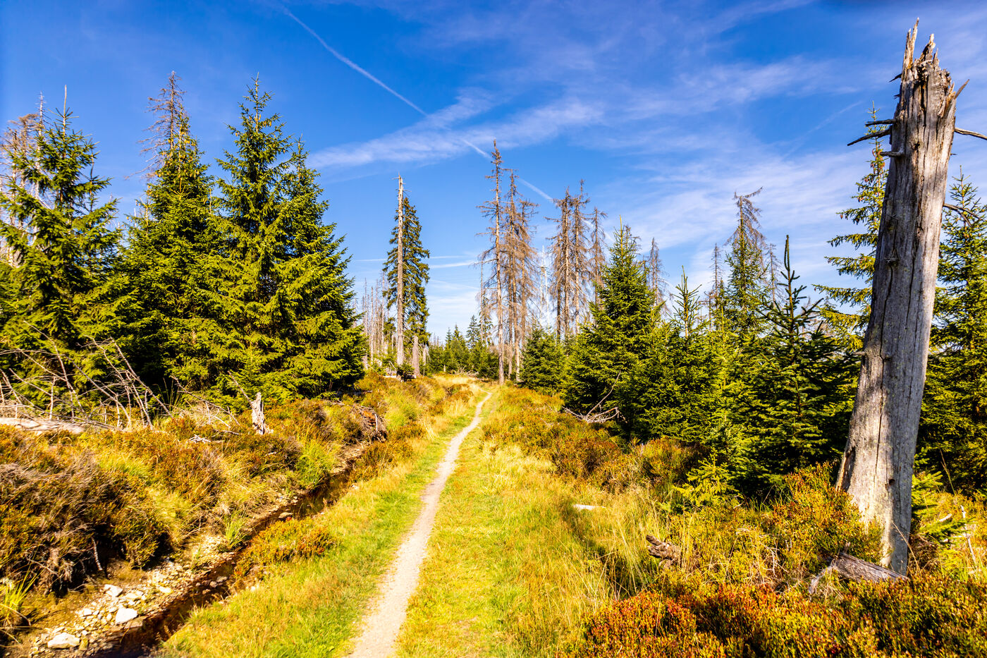 Historischer Graben-Wanderweg im Harz